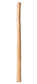 Medium Size Natural Finish Didgeridoo (TW1519)